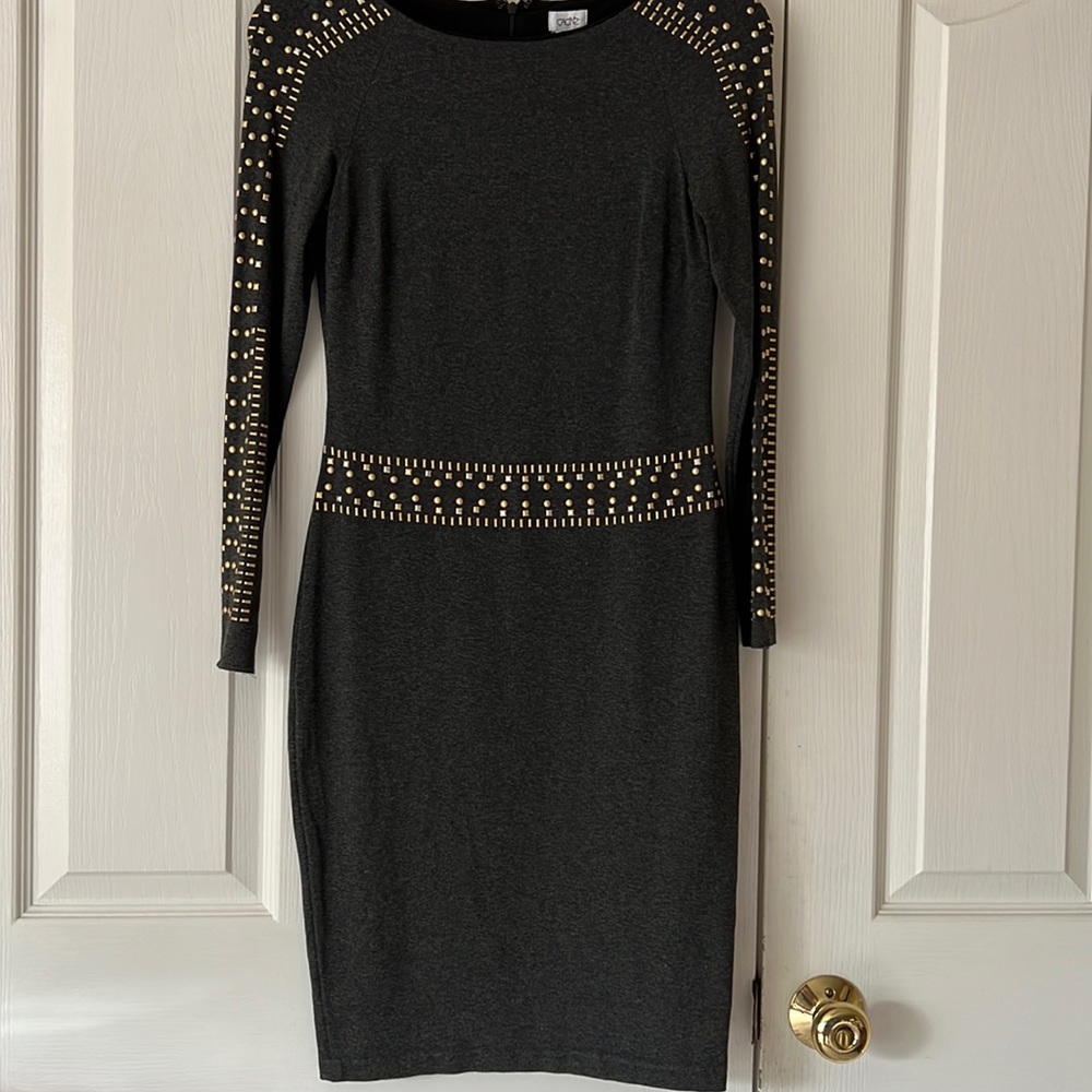 Cache fitted dress.